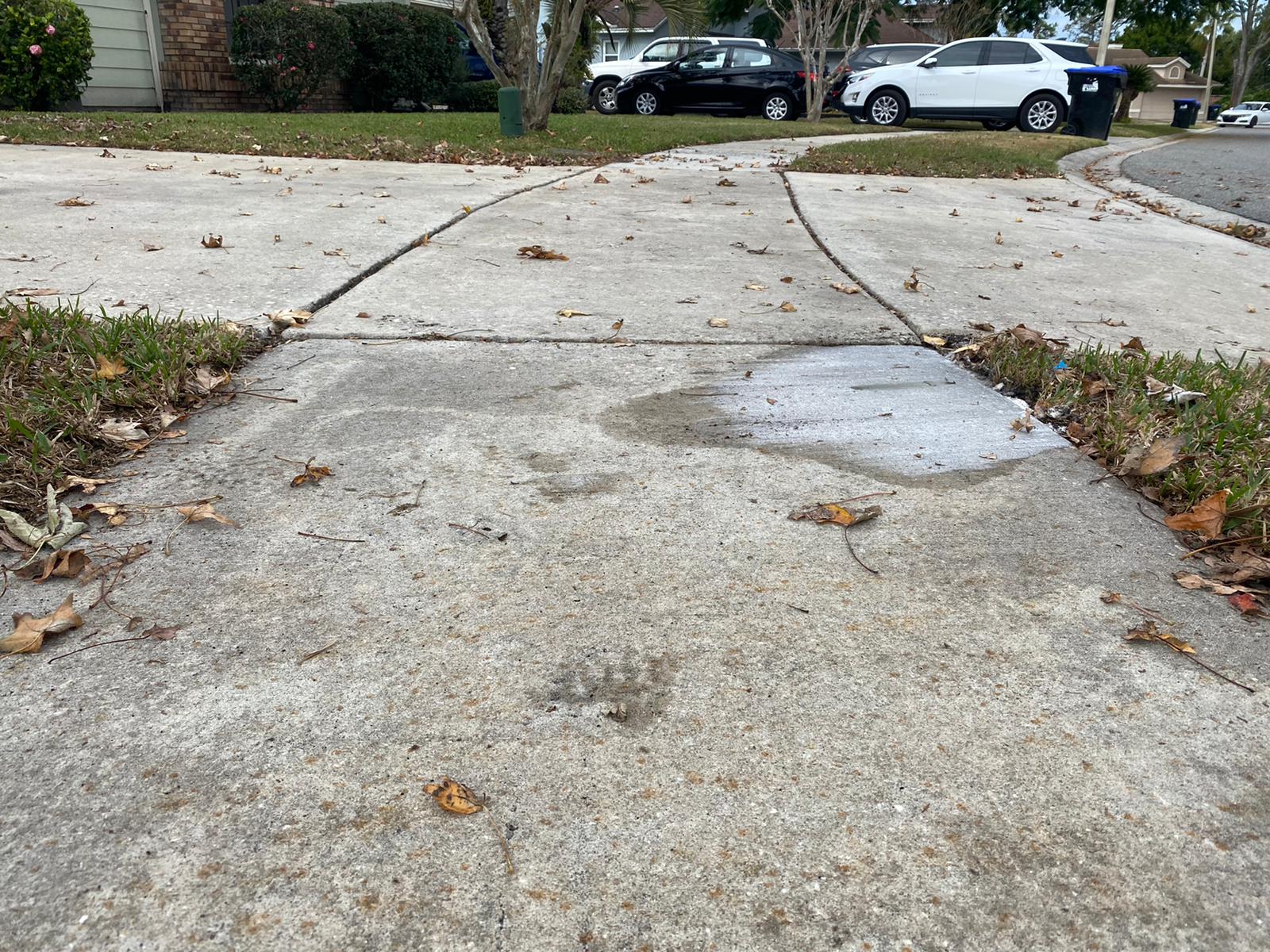 Sidewalk Leveling Top Level