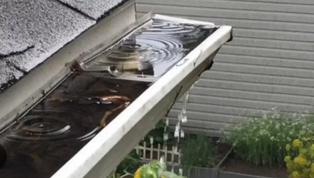 Clogged Gutters and Leaders
